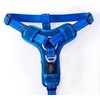 Control Harness Medium - Blue