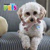 Fancy Pets Hueso Masticable GDE de Bambú Triple para Perro