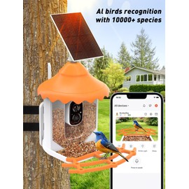 Smart Bird Feeder Camera with AI Identify Bird Species, Wild Bird Watching Cam, Live View, Instant Notifications, 5W Solar Panel