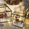 Ferrisland Glass Plant Terrarium Container Wardian Case Indoor Small Succulent