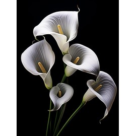 DIY 5D Diamond Art Painting Kits for Adults Black and White Calla Lily Round Full Drill Canvas Gems Cross Stitch Art Kit Painting by Diamond Mosaic Craft for Home Decoration 30x40cm(3)
