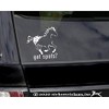 Got Spots? Appaloosa Horse Trailer Vinyl Window Decal Sticker