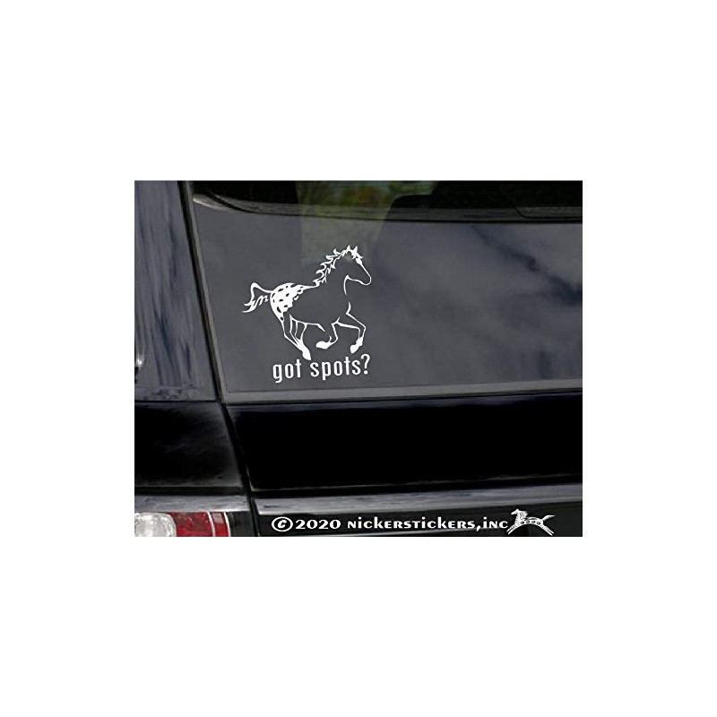 Got Spots? Appaloosa Horse Trailer Vinyl Window Decal Sticker
