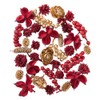 Daichi Noen Dried Flowers Red/Gold Approximately 40-50 pieces Mixed Cones