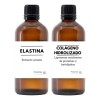 Colágeno Y Elastina
