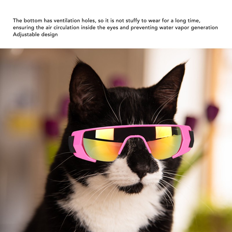 Dog Goggles UV Protection Waterproof Sandproof Soft Frame Adjustable Breathable