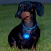 RogzliteSafety Light, Blue