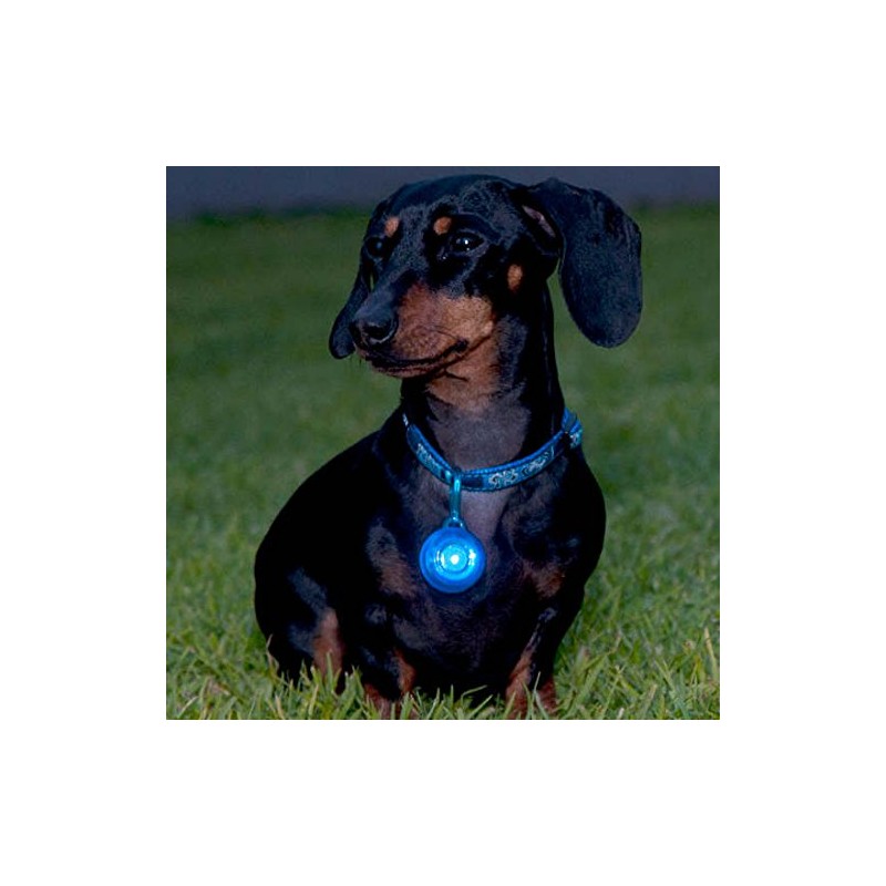 RogzliteSafety Light, Blue