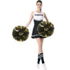 PUZINE 4 Pack 13" Cheerleading Metallic Foil & Plastic Ring
