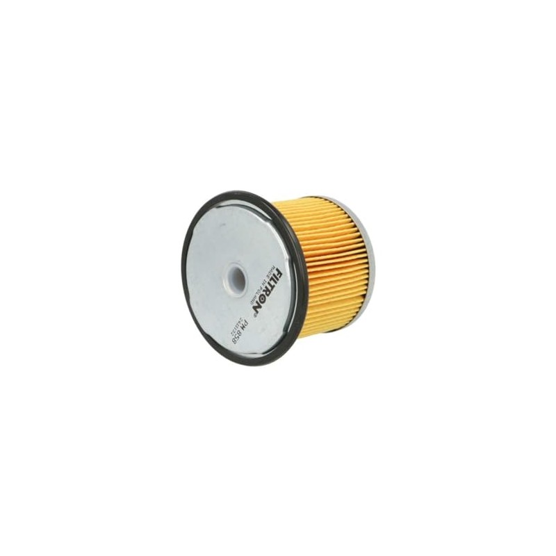 Filtron Fuel Filter PM858