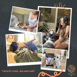 Tails & Tales Whole Elk Antler for Dogs Jumbo 9-11" Long-Lasting & Durable Dog Bones for Aggressive Chewers or Teething Puppies No Additives, Premium Grade A, Naturally Shed in USA