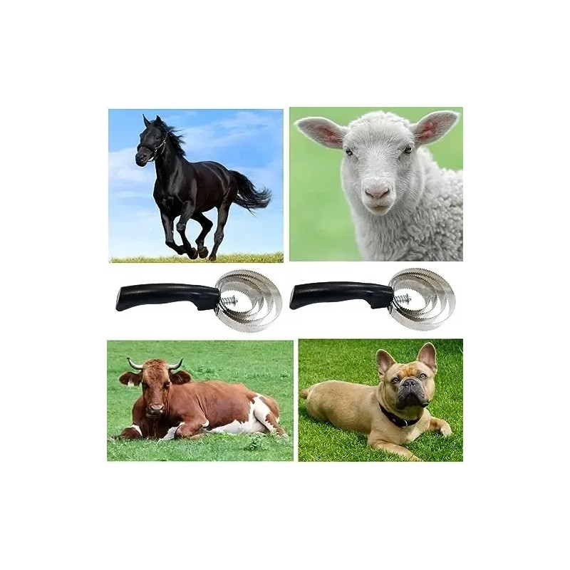 Cepillo De Acero Inoxidable Para Caballos 2 Pzas 4 Anillos