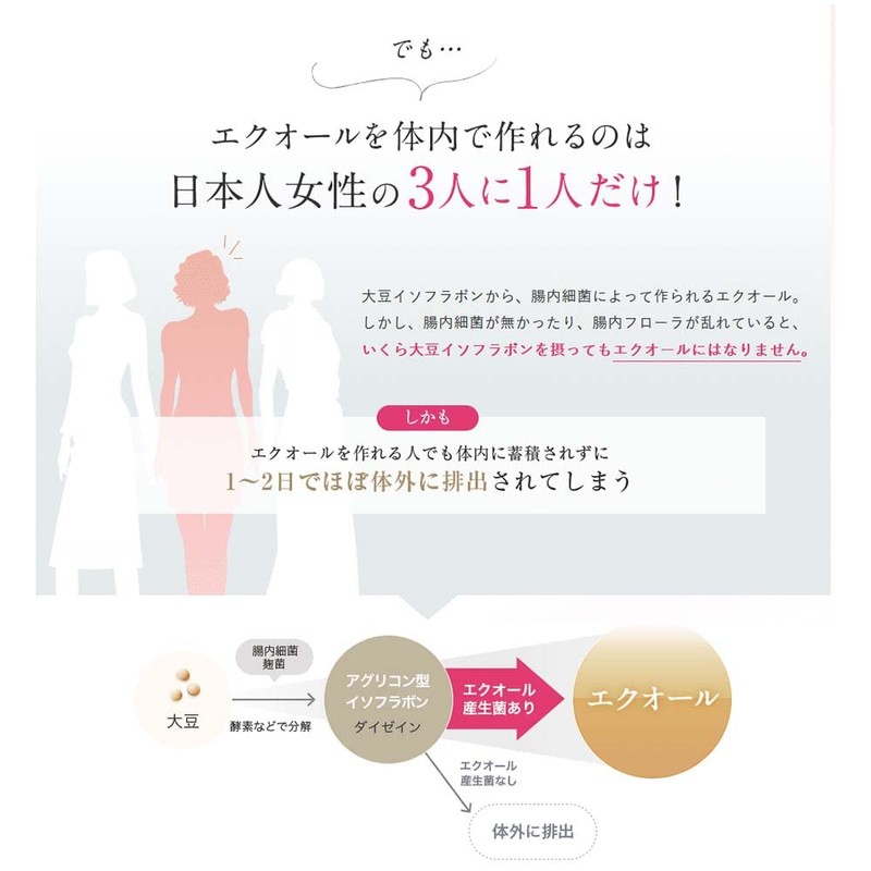 エクオール N／ ラクトビオン酸 (90粒 約1ヶ月分）【大人女性のお悩みに 女性らしさを保つ】 サプリ 大豆イソフラボン ラクトビオン酸 配合