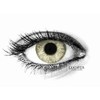 Lucifer® natürliche Farbige Kontaktlinsen Cloud Light Green - 2 Stück