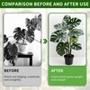 Monstera Plant Support, Set of 6 Iron Plant Stem Supports