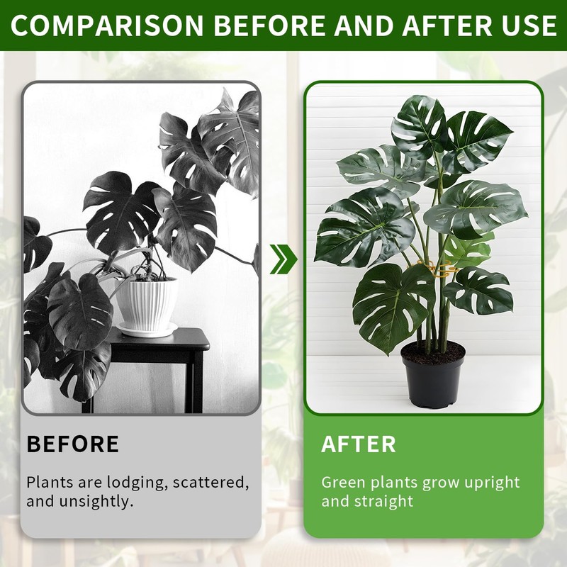 Monstera Plant Support, Set of 6 Iron Plant Stem Supports