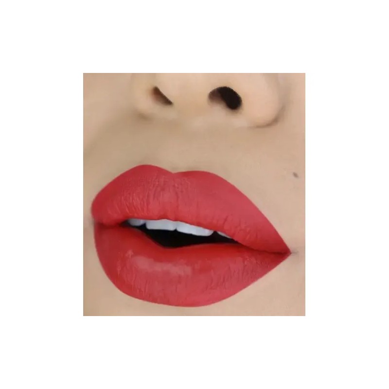 Labial Líquido Matte Moira Cosmetics Tono 26 Brick Larga Duración