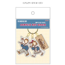 Sunstar Stationery Keychain, Sanrio Character Key Holder, Acrylic Retro Sanrio Characters Girls, Boardbill Duo