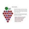 Resveratrol Con Acerola 290 Tabletas Antienvejecimiento