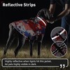 Dogcheer American Flag Jacket with Harness - Adjustable Waterproof Dog