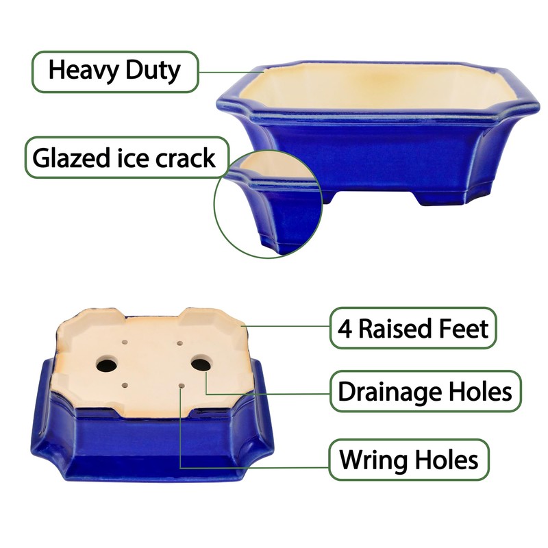 MUZHI Blue Bonsai Plant Pot 10” with Drip Saucer, Classic