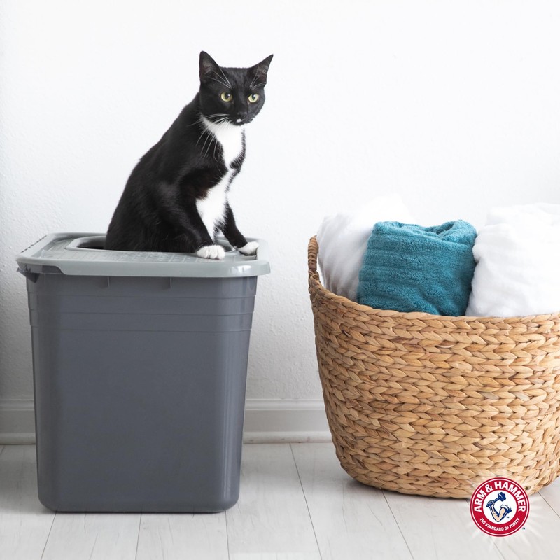 Arm & Hammer Premium Top Entry Litter Box with Filter