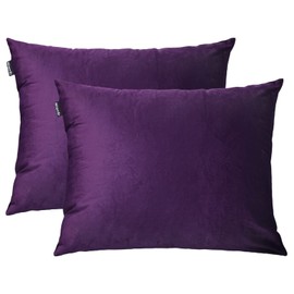 NianEr Fall Winter Velvet Pillowcases Set of 2 Pillow Cases with Zipper Closure Dark Purple, Standard