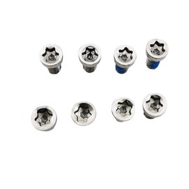 alltoo Stone Chainring Bolt for Sram Road Bike 12 Speed QUARQ Rival AXS Force Red Crank 8 Holes Repair Screw 304 Stainless Steel