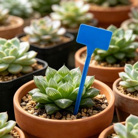 50 Etiquetas de Plantas de con Diseño de Visibilidad Perfectas para Organizar y Administrar Jardín o Invernadero Etiquetas de Plantas Impermeables