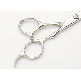 [PF] DEEDS Japanese Shears Professional Manufacturer GTZ Sword Scissor Blade Blade (5.5 inches) Hair Cutting Professional Hairdresser