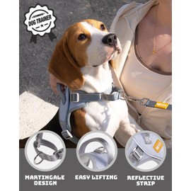 DF No Pull Step-in Martingale Dog Harness, Help Stop Pulling & Choking, Reflective & Adjustable, Front Clip Harness with Lift Handle, Tactical Silent Metal Buckle, Gray, 3/4", Front Chest 13.2"-16.0"