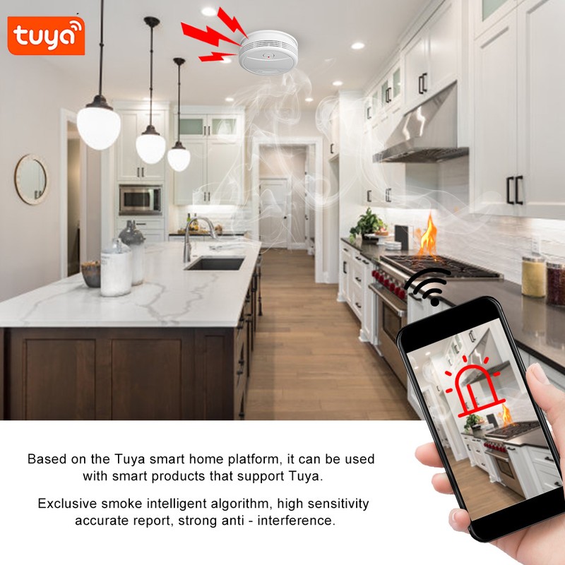 WIFI Standalone APP Smoke Alarm Photoelectric Sensor Gas Detector Voice
