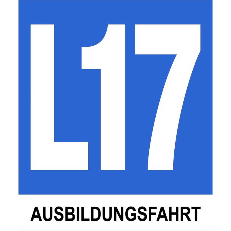 L17 Magnetic Training Ride Board for Outdoor Use