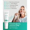 Bitterkraft! Hildegard von Bingen Toothpaste, 6 x 75 ml, Vine