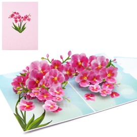 Fassory 3D Pop up Pink Orchid Flower Card, Birthday Card, Thank you Card, Anniversary Card, Thinking Of You Card, Good Luck Card, Congratulations Card (Pink Orchid)