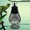 Reptile Heat Lamp Guard Protection Iron Anti Scald Reptile Lampshades