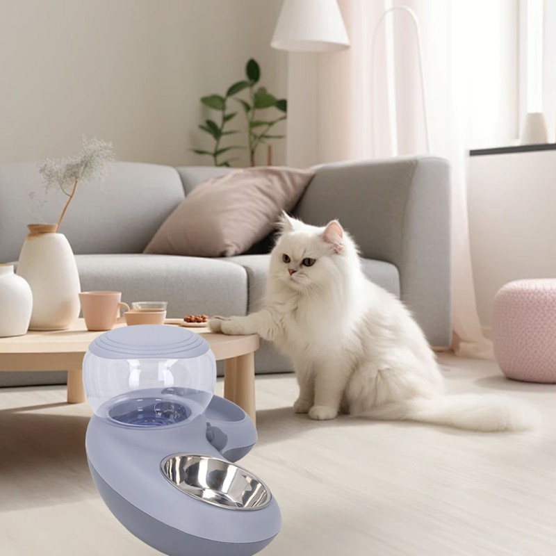 Double Cat Bowls Pet Food and Water Bowl Set Tilted