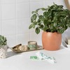 L, Organic Cotton Tampons, DuoPack Regular/Super Absorbency, 42 Count