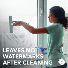 Squeegee for Shower Door, Car Windshield, and Glass Window - 2 Extra Silicone Replacement Blades - Foam Handle - Gray