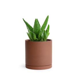 D'vine Dev 5 Inch Rust Terracotta Plant Pot with Drainage Hole and Saucer, Round Cylinder Planter Pot for Indoor Plants, 40-V-B-3