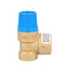 Watts 0216106 Diaphragm 1/2 Inch 6 Bar Safety Valve Blue