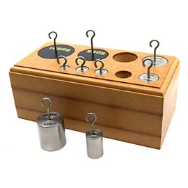 Hooked Weights Set, Stainless Steel, 9 Pieces - Metric Grams, 10-1000 Grams - Includes Wooden Storage Block - Eisco Labs