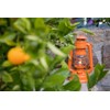 Petroleum Storm Lamp Feuerhand 276 Orange