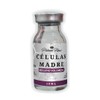 PLATINUMMAX | Celulas Madre (Voluminizador - Unificador) "Placenta, Ácido Hialuronico,