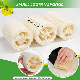 6 Pieces Loofah Sponge, Shower Loofah Cucumber Sponge, Natural Loofah Bath Sponge, Shower Sponge, Natural Loofah Sponge, Exfoliating Body Loofah Sponge, Small Loofah Sponge, Back Scrubber for Shower