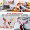 MECCANIXITY 20Pcs Tassel Garland Banner Tissue Paper for Streamers Party