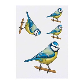 Azeeda 4 x 'Blaumeise' Temporäre Tattoos - Wasserfest, Hautfreundlich & Ungiftig · Transfers in Verschiedenen Größen (TO00059786)