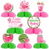 kreat4joy Watermelon Baby Shower Decorations Girl, 8pcs a Little Watermelon