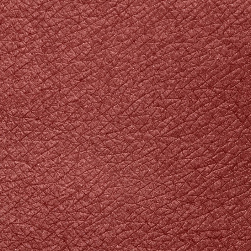 Neve Cosmetics The Rainbow | Oolong Rouge