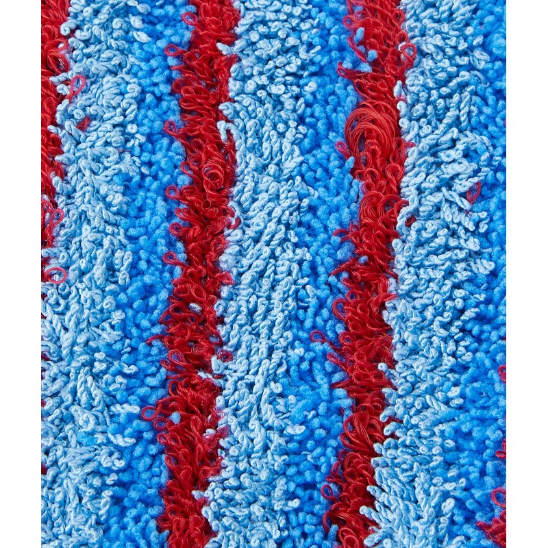 Vax 1-1-132319-00 Genuine Pro Cleaning Pads, Blue